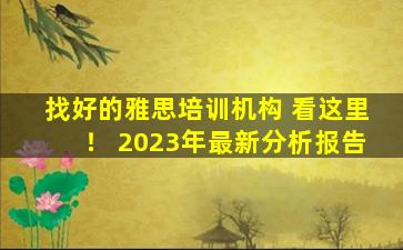 找好的雅思培训机构 看这里！ 2023年最新分析报告